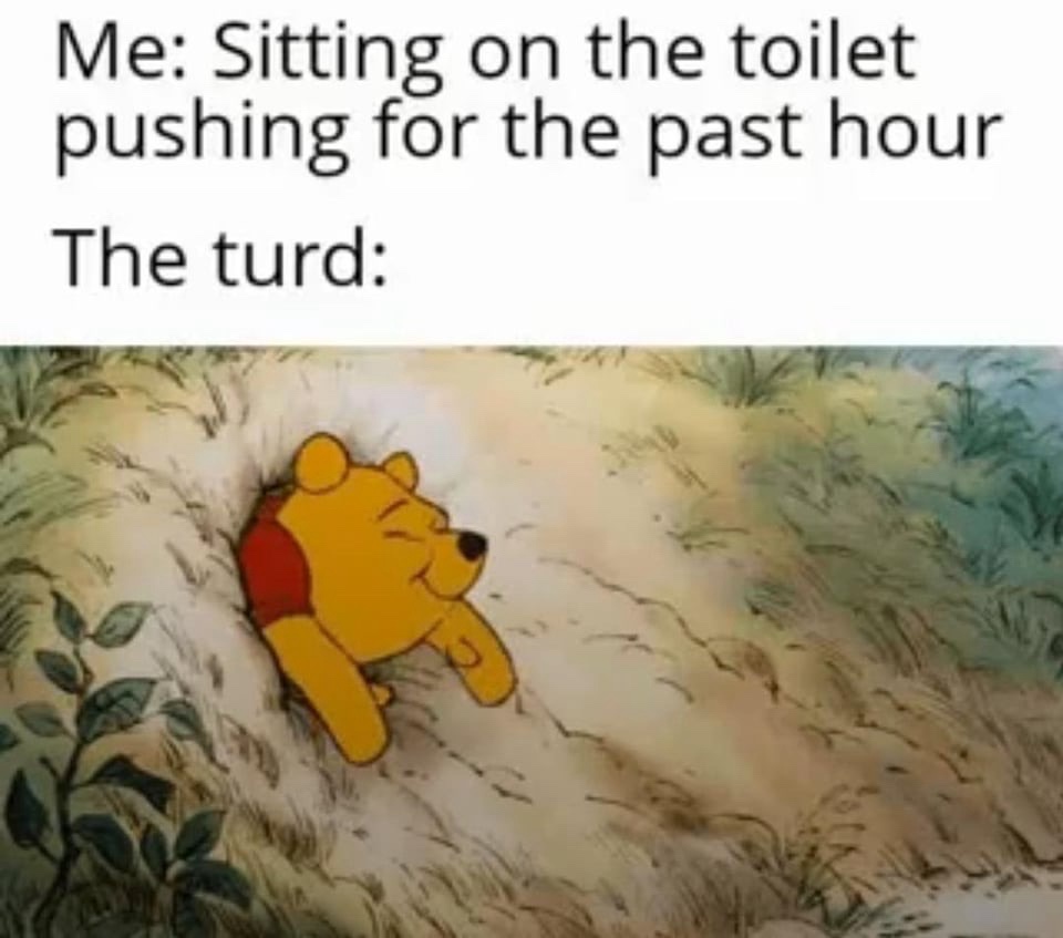 20 Memes That Feel Like a Conversation Between Two Broken Thoughts 18 Sitting on the toilet