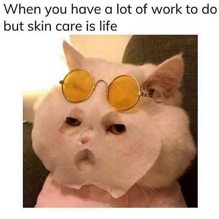 20 Dumb Genius Animal Memes That Escalate Into Unexpected Brilliance 14 Skin care is life