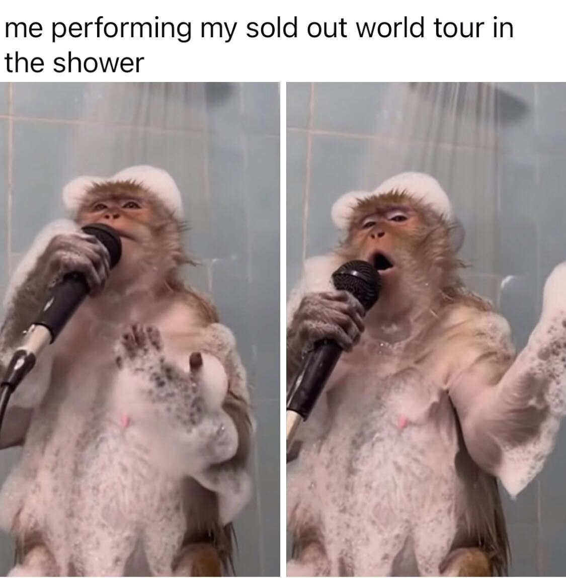 20 Memes Where ‘Innocent’ Comes With an Asterisk 16 Sold out world tour