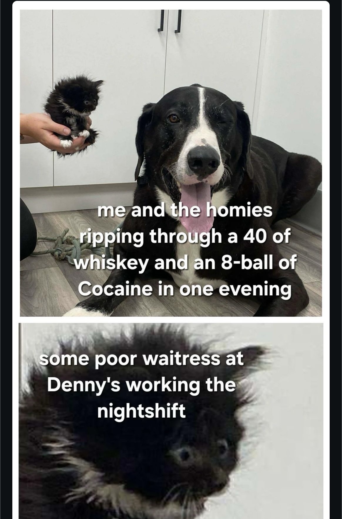 20 Memes That’ll Cause Uncontrollable Wheezing and Mild Chaos 17 Some poor waitres