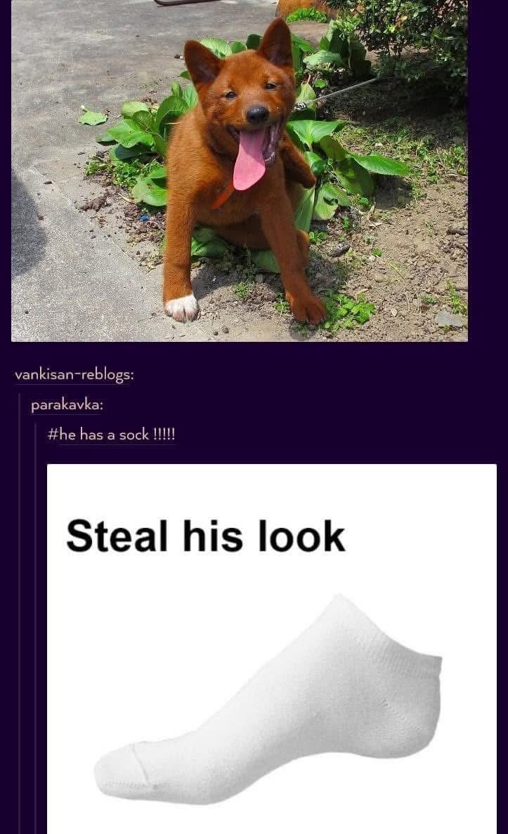 Steal his look