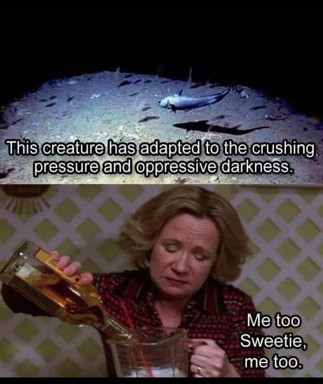 20 Memes About Depression That Are Easier To Laugh At Than Deal With 16 This creature has adapted