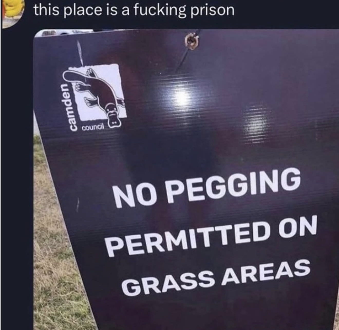 20 Memes That Escalated From “Heh” to “What the Hell Was That” 17 This place is a prision