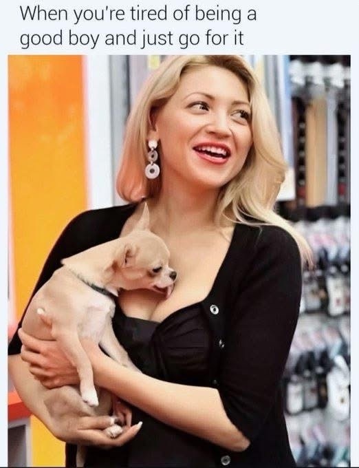 20 Memes That’ll Cause Uncontrollable Wheezing and Mild Chaos 18 Tired of being good boy