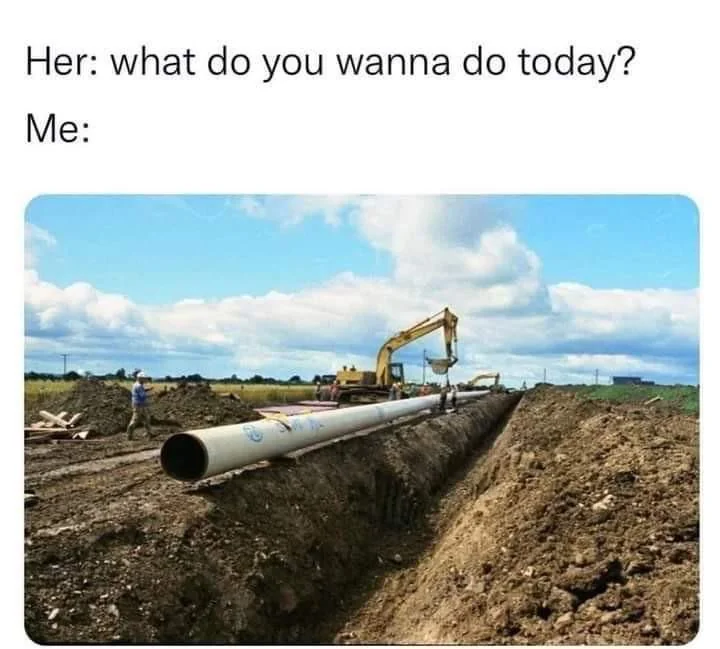 WHat do you wanna do today