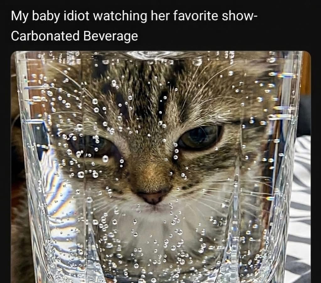 20 Memes That Bring Extra for No Reason at All 22 Watching her favorie show