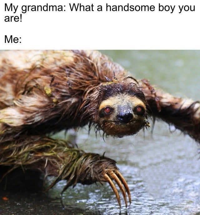 20 Memes That Escalated From “Heh” to “What the Hell Was That” 20 What a handsome boy