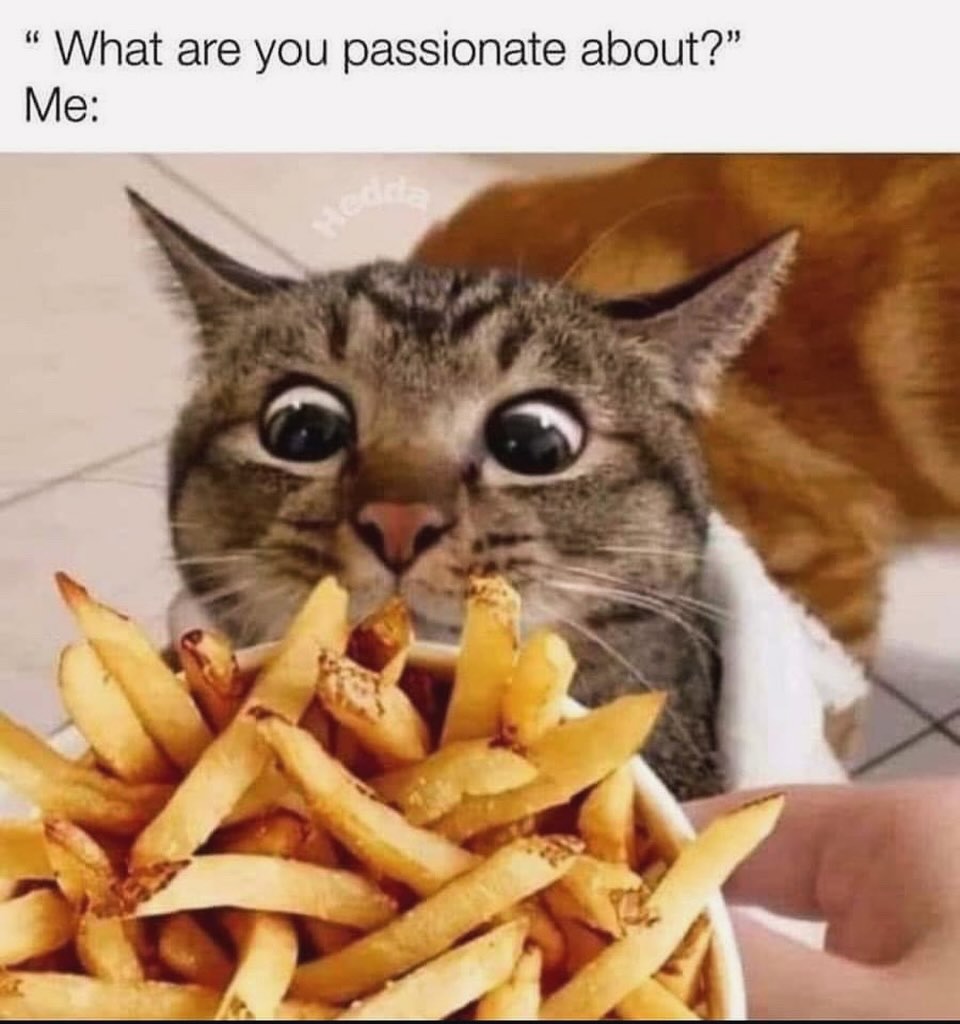20 Chaotic Cat Memes That Make Normal Cat Behavior Look Suspicious 22 What are you passionate about
