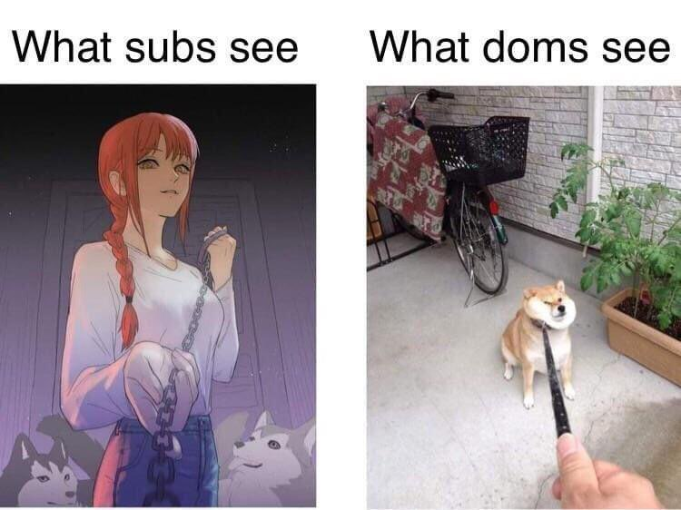 20 Memes That’ll Cause Uncontrollable Wheezing and Mild Chaos 19 What subs see