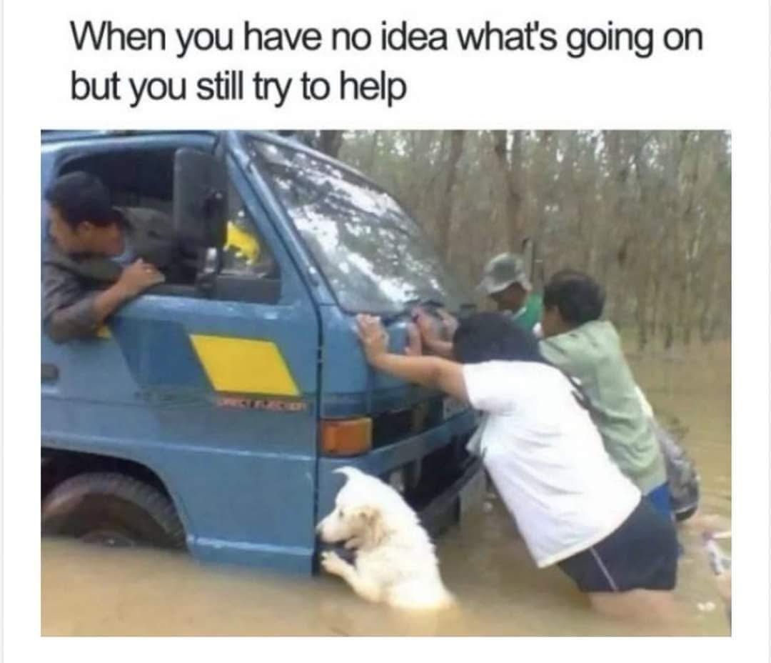 20 Memes Mixing Forecasts, Chaos, and Completely Random Humor 20 Whats going on