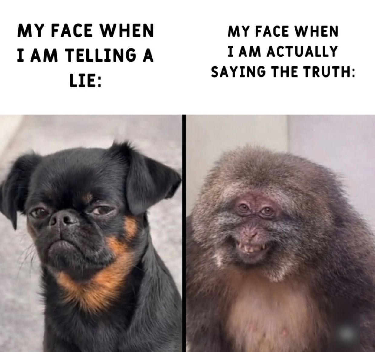 20 Memes Too Fresh to Be Left Unlaughed At 16 When Im telling alie