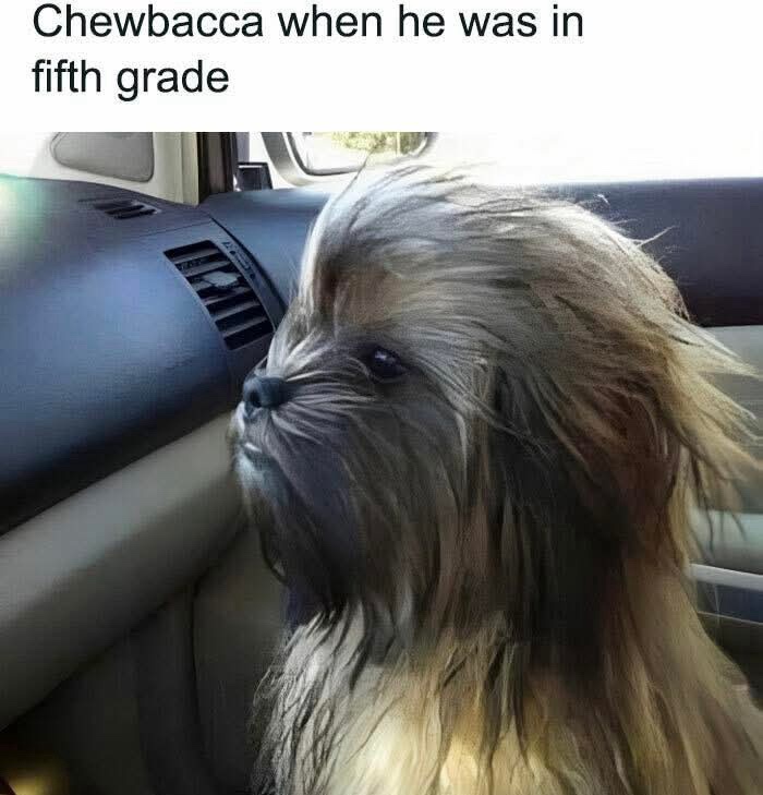 20 Memes Mixing Forecasts, Chaos, and Completely Random Humor 21 When he was in 5th grade