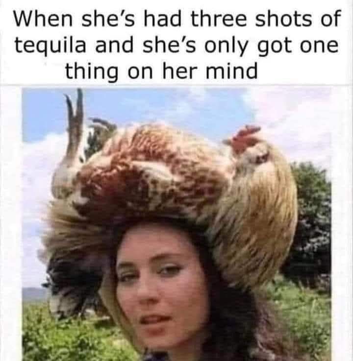 20 Memes that (probably) won’t make you horny. 20 When shes had 3 shots