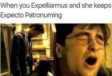 20 Questionable Memes That Made You Reread Them Very Slowly 20 When you expelliyarmus
