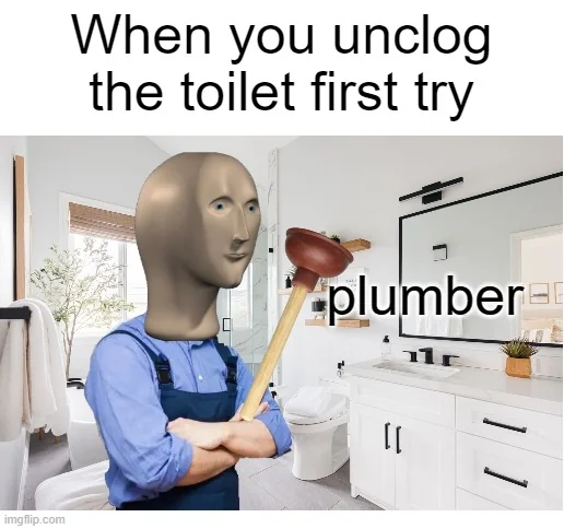 When you unclog the toilet