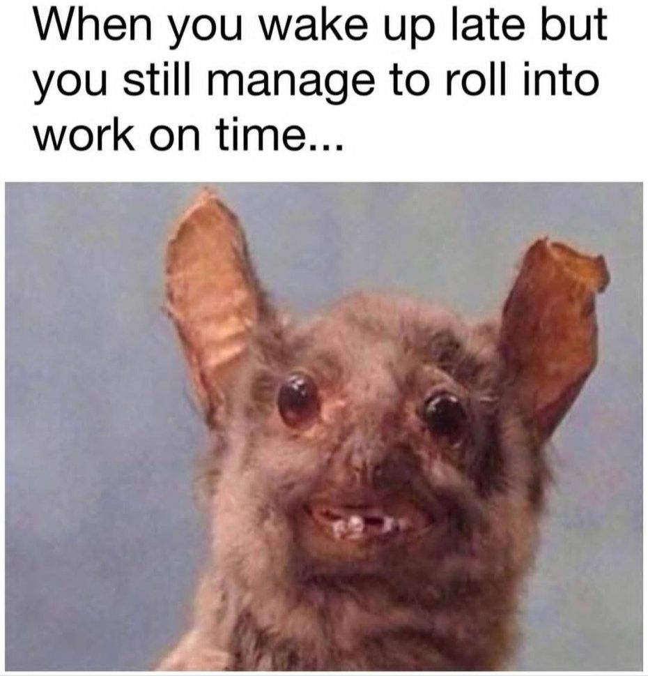 20 Memes Too Fresh to Be Left Unlaughed At 20 When you wake up