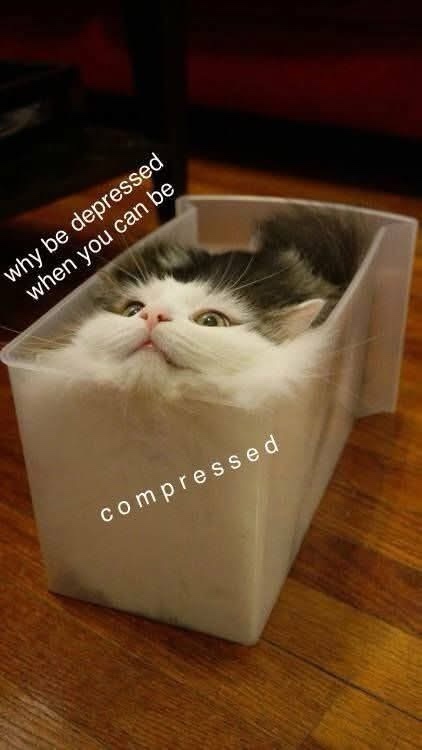 20 Memes That Feel Like Context Took the Day Off 19 Why be depressed