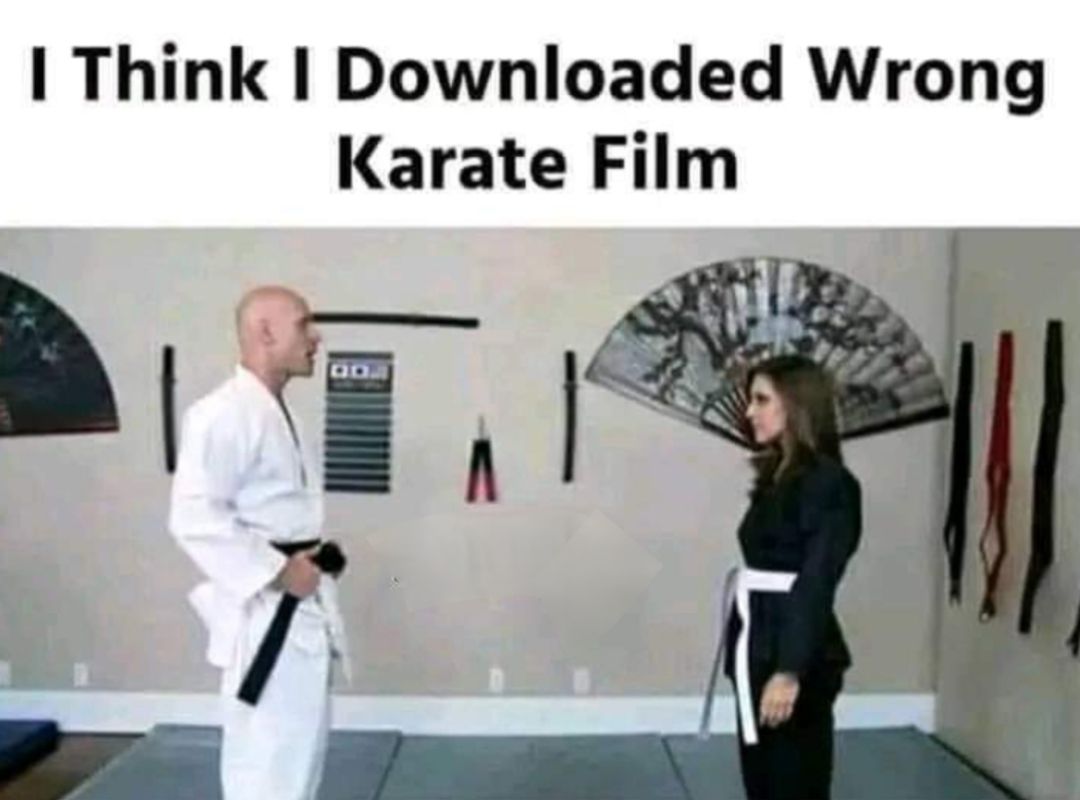 20 "I Think I Downloaded the Wrong Movie" Memes That Went Off Script Instantly 16 Wrong karate film