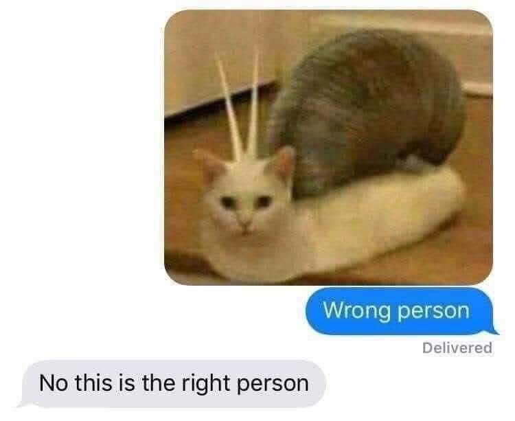 Wrong person