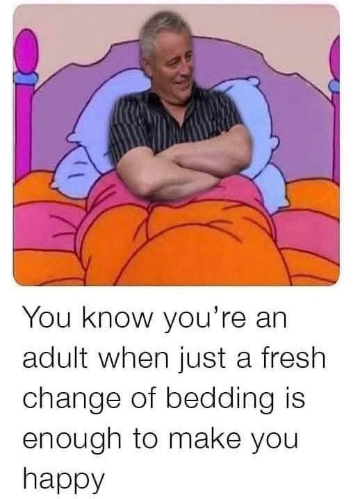 20 Memes That Feel Like Your Brain Arguing With Itself 22 You know youre an adult