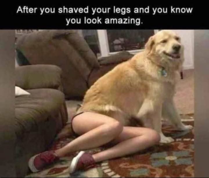 30 Memes That Will Keep You Smiling Silently 32 You look amazing