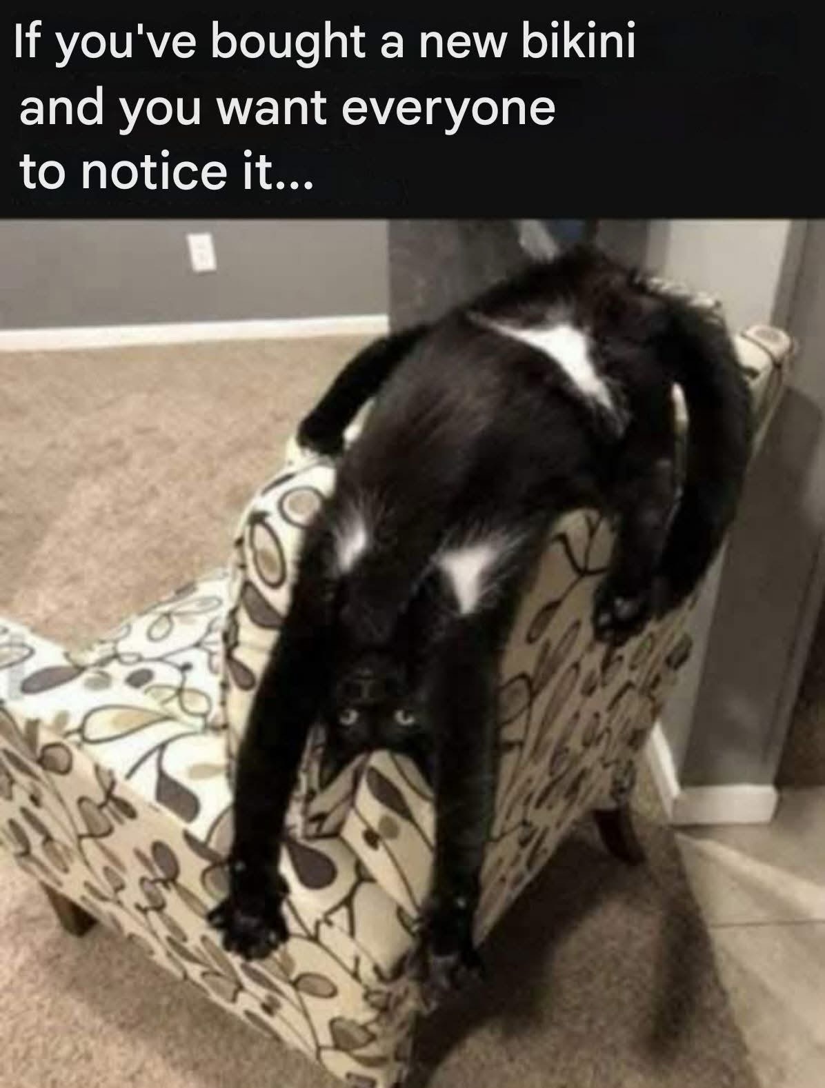 20 Memes That Feel Like Context Took the Day Off 22 You want everyone to notice