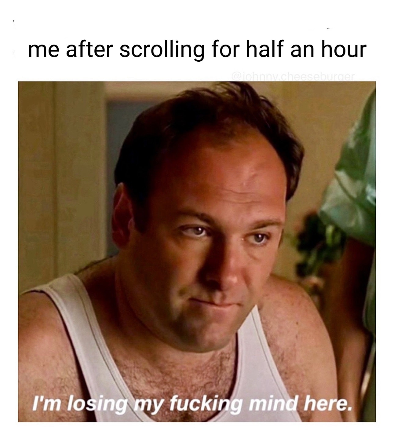 20 Memes That Switch Between Sarcasm and Sincerity Without Warning 5 after scrolling