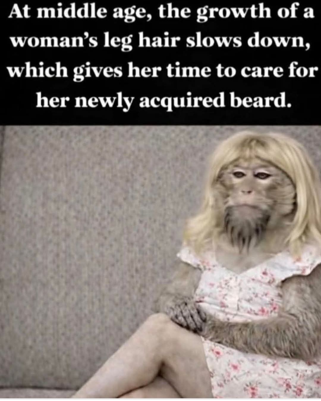 20 Memes That Cover Every Mood You Didn’t Know You Had 4 at middle age