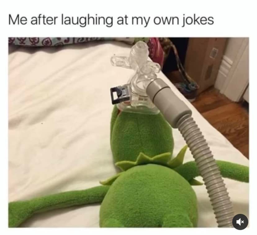 20 Memes That Can’t Decide If They’re Joking or Judging You 3 auging at my own jokes