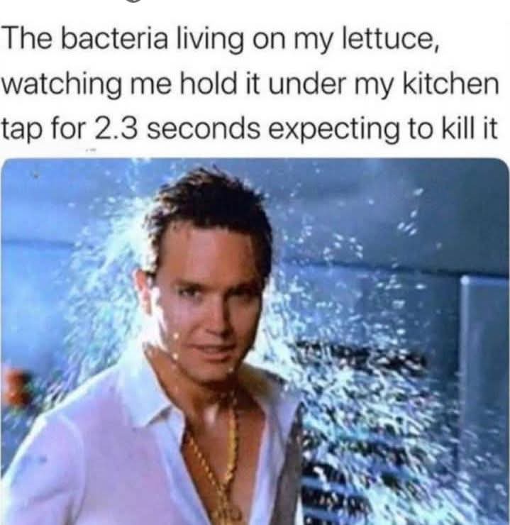 20 Memes That Feel Like a Conversation Between Two Broken Thoughts 3 bacteria living on lettuce