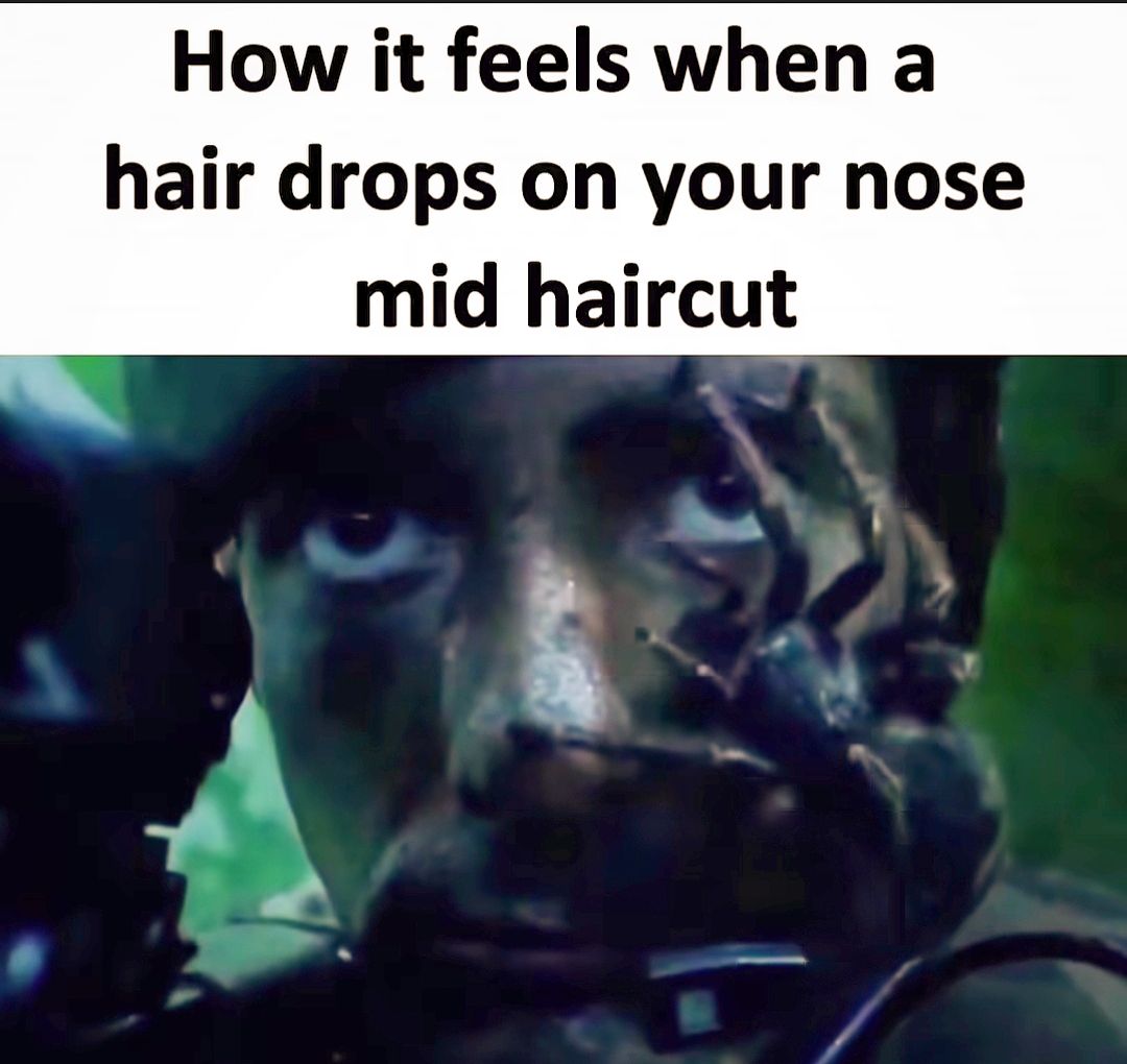 20 Memes That Are Basically Sarcastic Truth Bombs 15 hair drops on nose