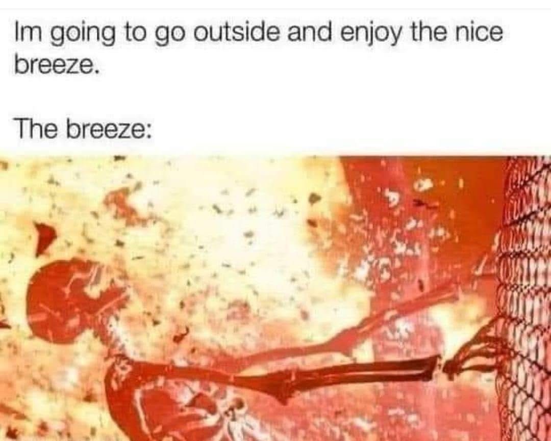 20 Memes Mixing Forecasts, Chaos, and Completely Random Humor 5 he breeze