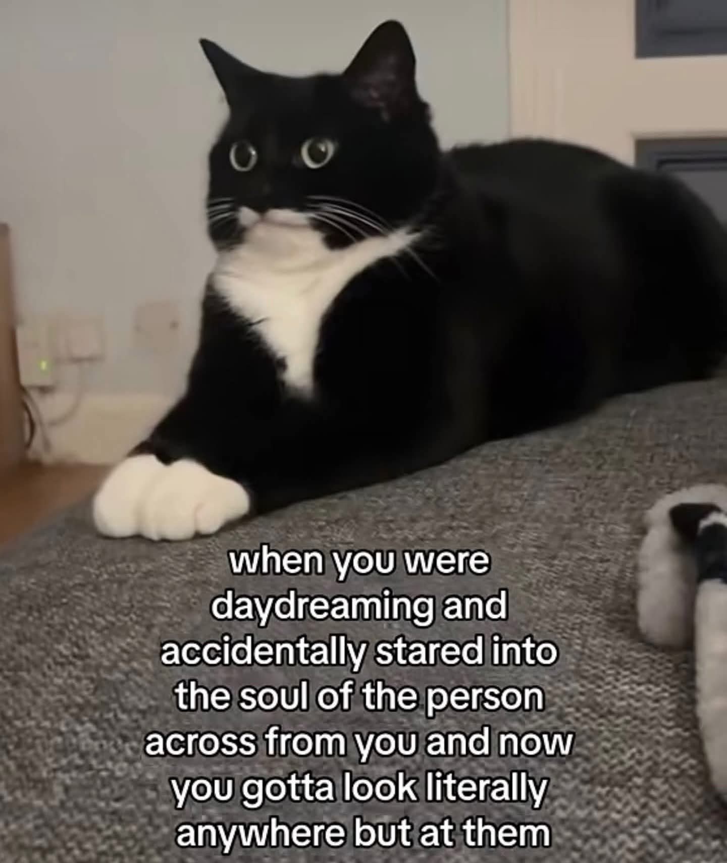 20 Memes That’ll Absolutely Wreck Your Ability to Be a Serious Adult 7 hen you were day dreaming