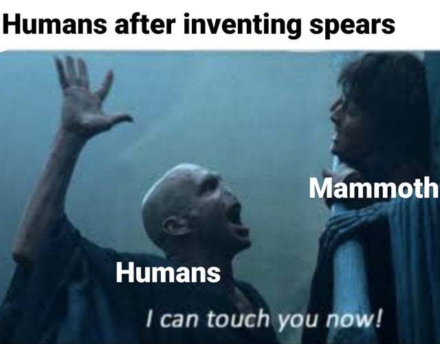 humans after inventing spears