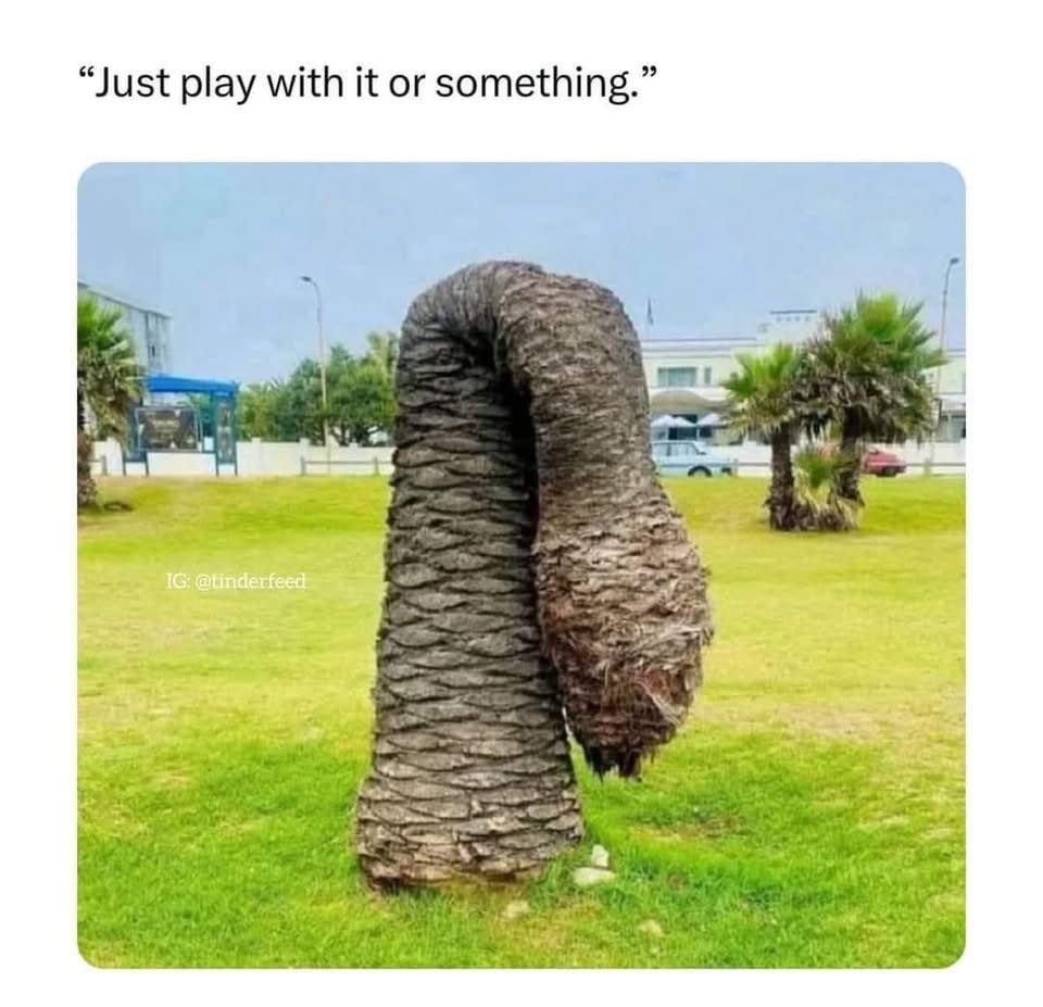 20 Memes That Feel Like Your Brain Arguing With Itself 12 just play with it