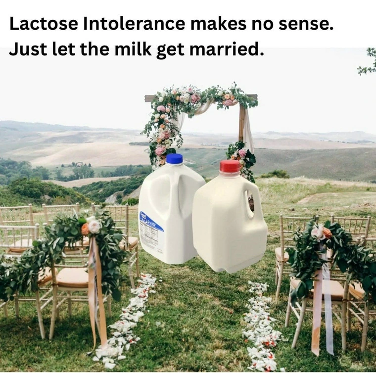 20 Memes That Feel Like Your Brain Arguing With Itself 13 lactose intolerance makes no sense
