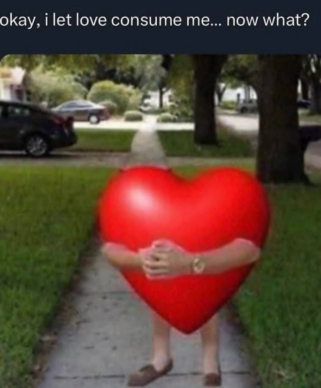 20 Memes That Have Absolutely No Backstory 15 let love consume me