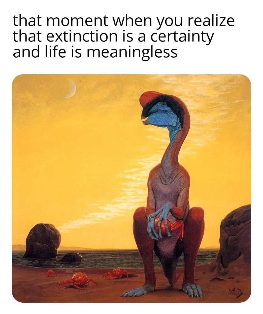 20 Memes That Switch Between Sarcasm and Sincerity Without Warning 12 life is meaningless