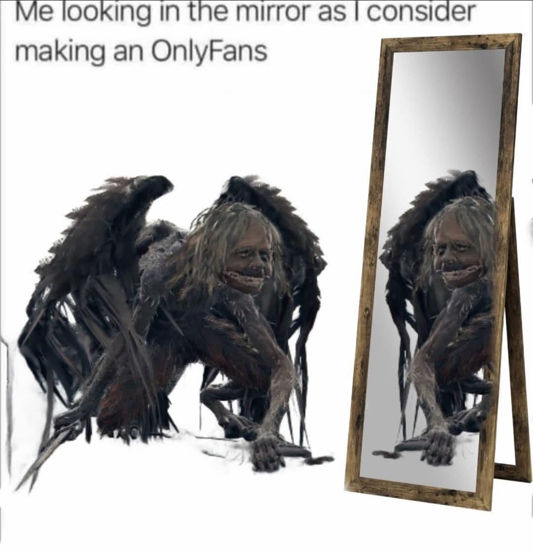 20 Memes That’ll Cause Uncontrollable Wheezing and Mild Chaos 11 looking in the mirror