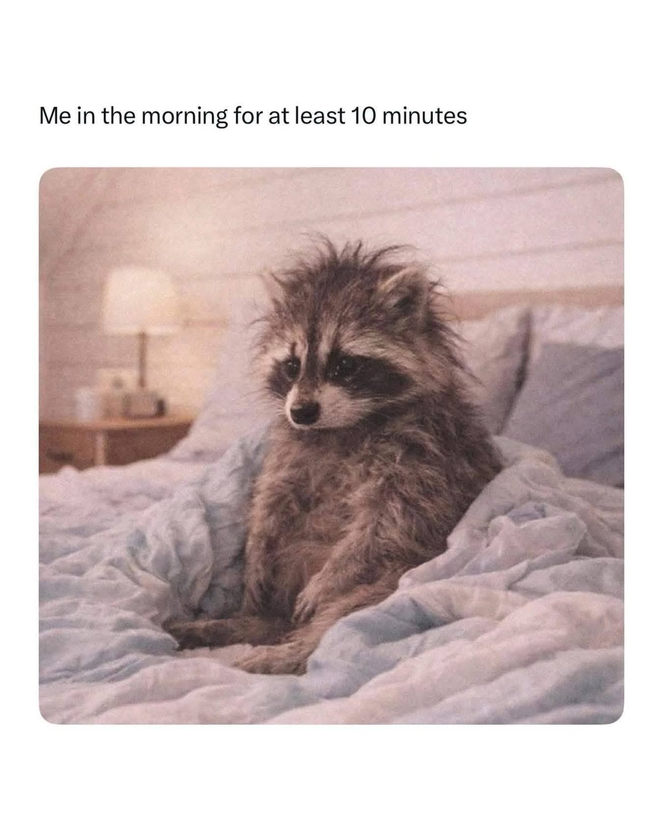 20 Memes That Feel Like a Conversation Between Two Broken Thoughts 16 me in the morning