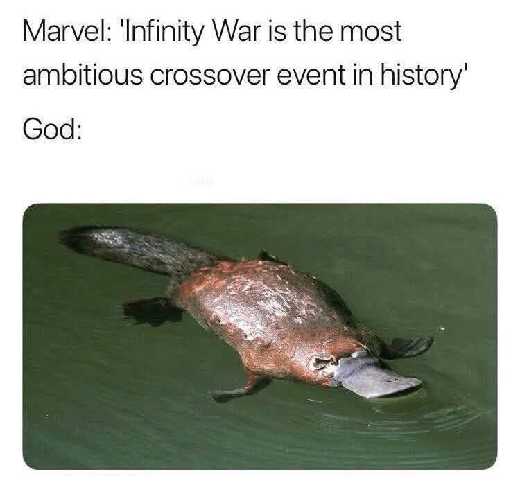 20 Memes That’ll Cause Uncontrollable Wheezing and Mild Chaos 13 most ambitious crossover