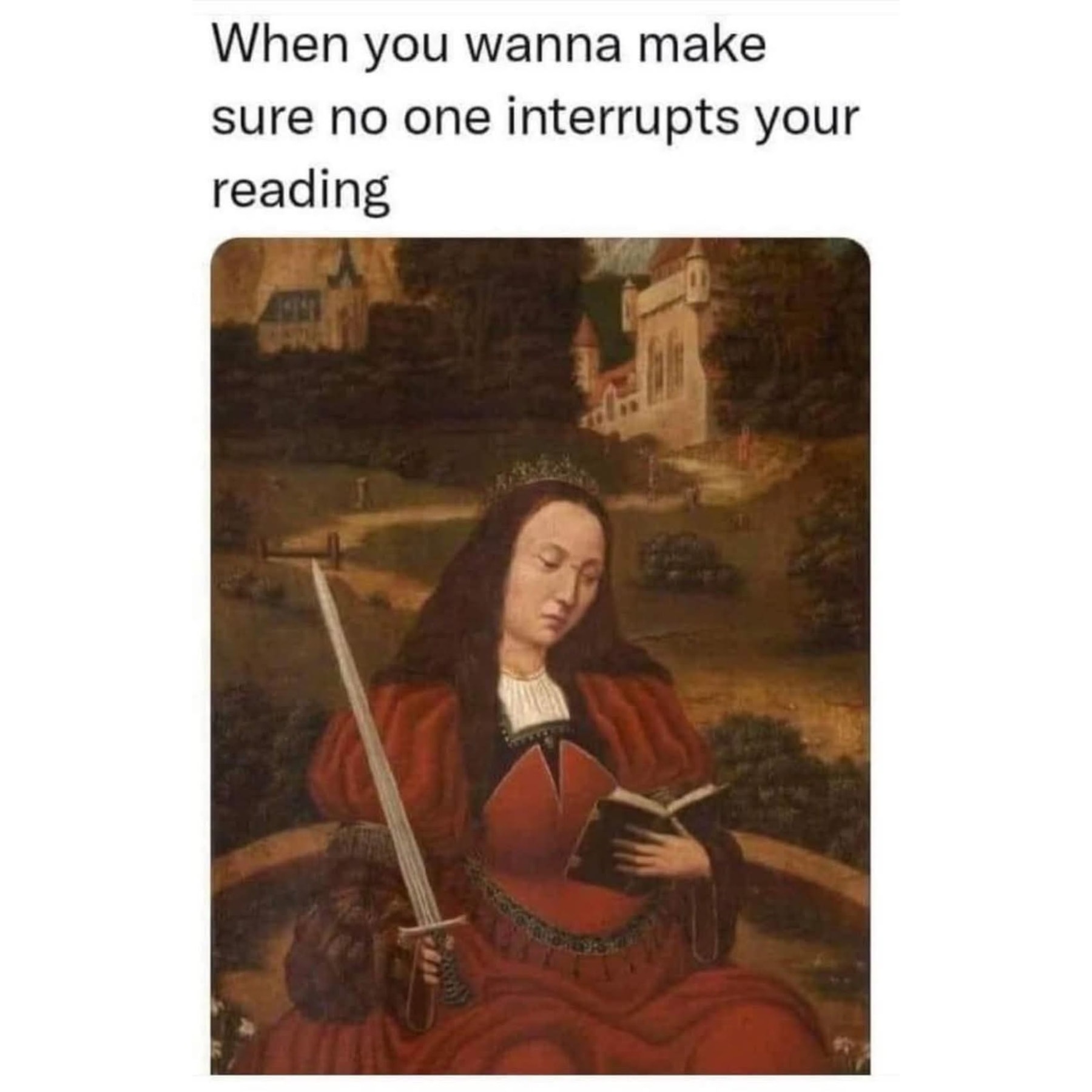 20 Memes That Switch Between Sarcasm and Sincerity Without Warning 15 no one interrupts reading