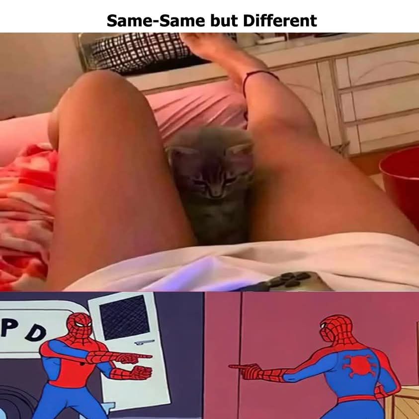 20 Memes That Turn Simple Observations Into Dirty Humor 12 same same but different