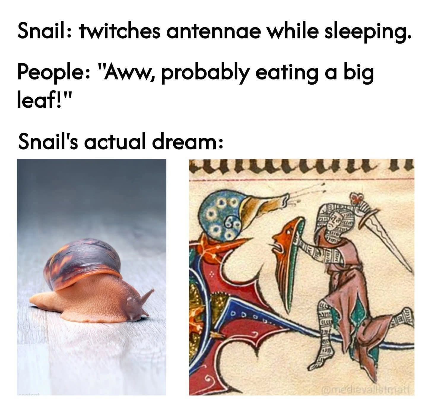 20 Memes That Feel Like a Conversation Between Two Broken Thoughts 21 twitches anteena