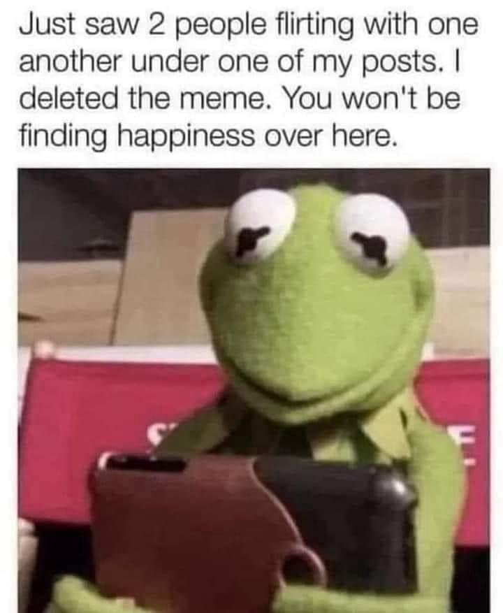 20 Memes That’ll Absolutely Wreck Your Ability to Be a Serious Adult 22 you wond find happiness