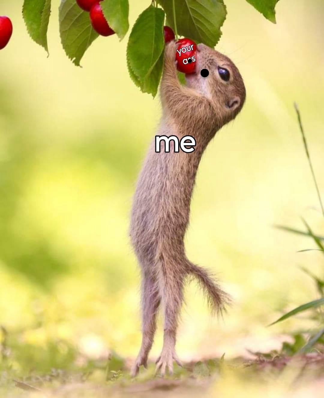 35 Slightly Dirty Memes That’ll Make You Rethink Your Innocence 36 your a vs me
