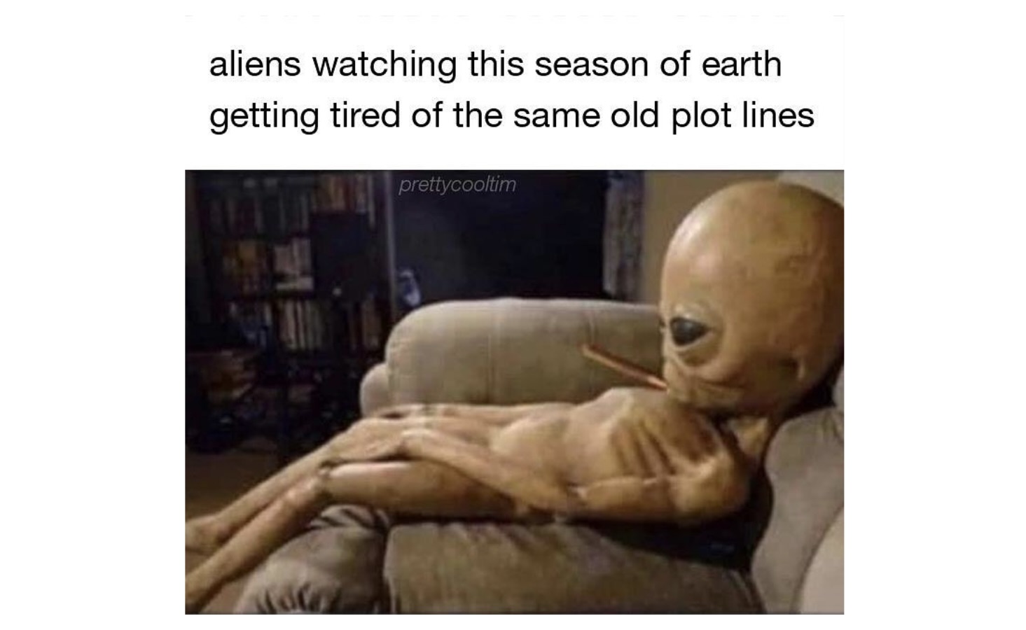 20 Memes That Are Somehow Dumb and Genius at the Same Time FG