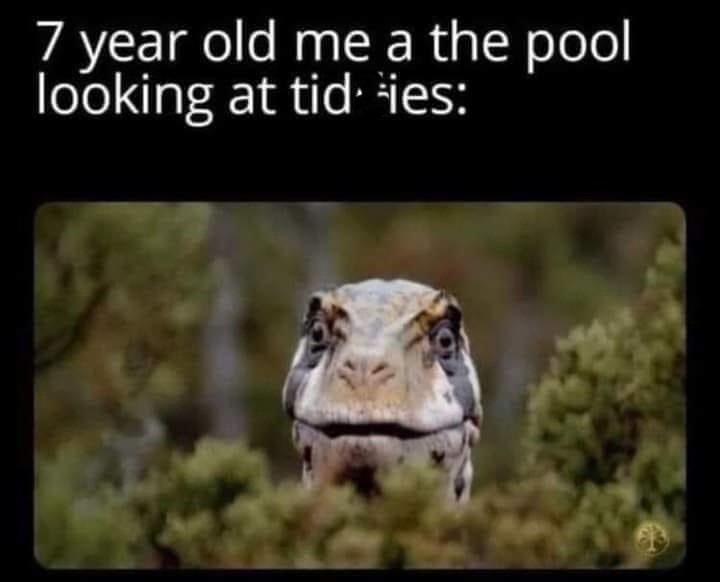 27 Memes to Distract You from Whatever You’re Avoiding 23 7 year old me