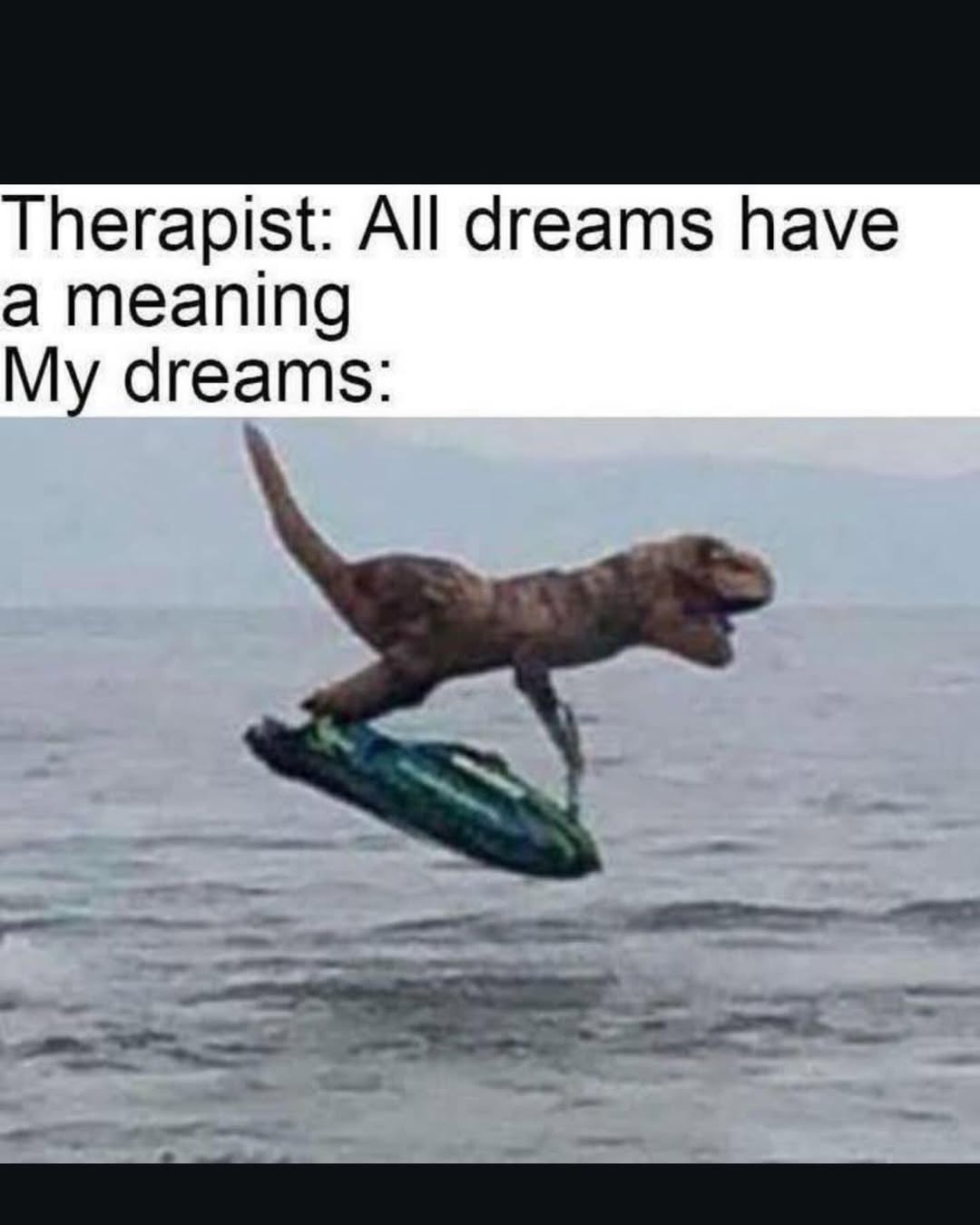 20 Random Silly Memes That Will Make You Laugh Way Harder Than They Deserve 4 All drems have meaning