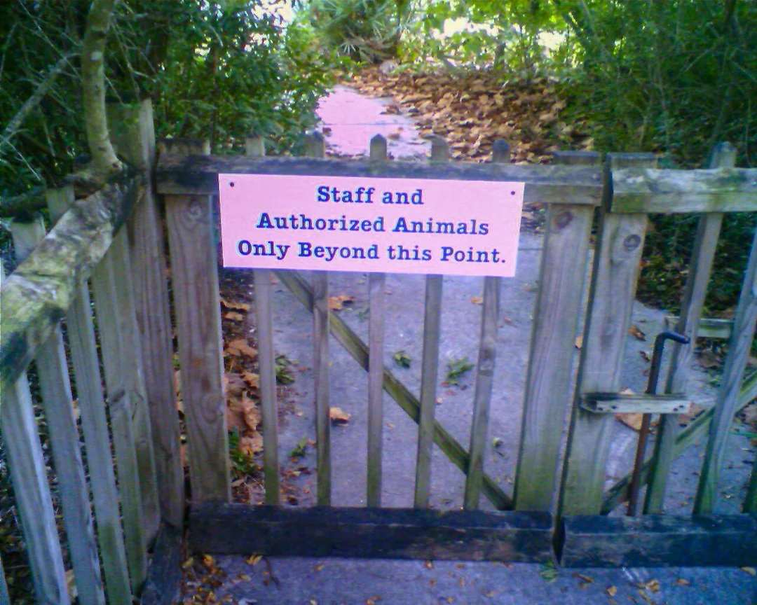20 Oddly Funny Rules That Feel Like Inside Jokes You’re Not Part Of 5 Am I an Authorized Animal?